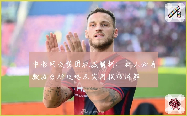 中彩网走势图权威解析：新人必看数据分析攻略及实用技巧详解