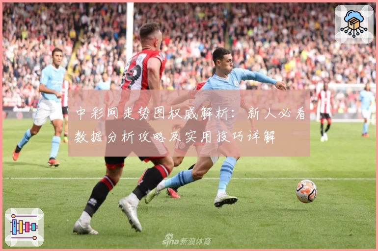 中彩网走势图权威解析：新人必看数据分析攻略及实用技巧详解