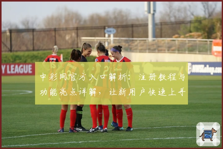 中彩网官方入口解析：注册教程与功能亮点详解，让新用户快速上手到应用达人