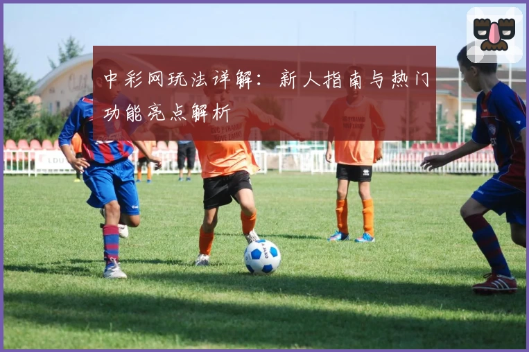 中彩网玩法详解：新人指南与热门功能亮点解析