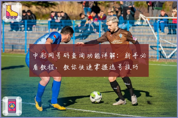 中彩网号码查询功能详解：新手必看教程，教你快速掌握选号技巧