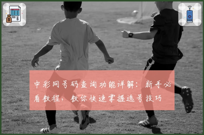 中彩网号码查询功能详解：新手必看教程，教你快速掌握选号技巧