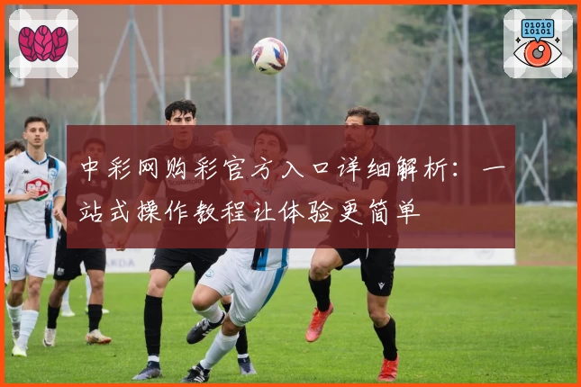 中彩网购彩官方入口详细解析：一站式操作教程让体验更简单