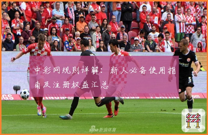 中彩网规则详解：新人必备使用指南及注册权益汇总