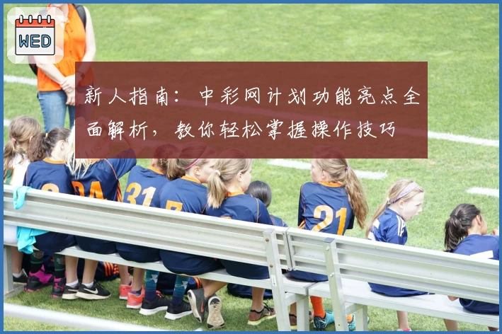 新人指南：中彩网计划功能亮点全面解析，教你轻松掌握操作技巧