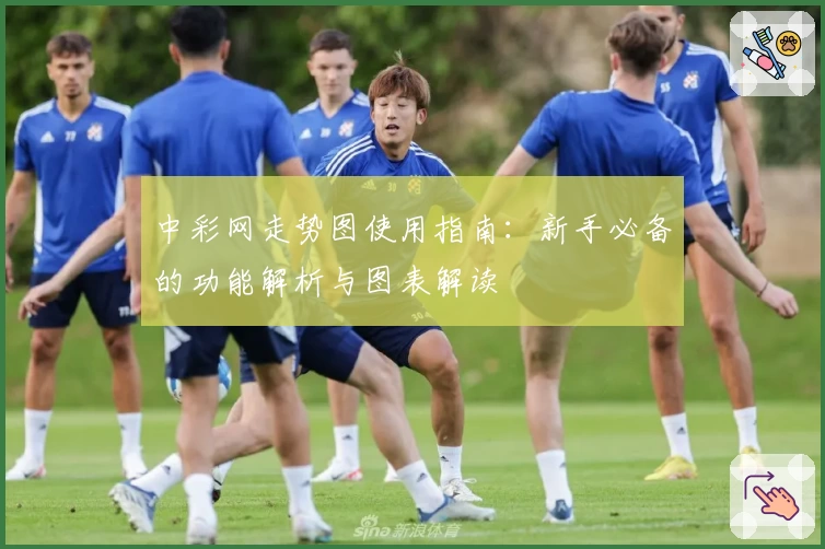 中彩网走势图使用指南：新手必备的功能解析与图表解读