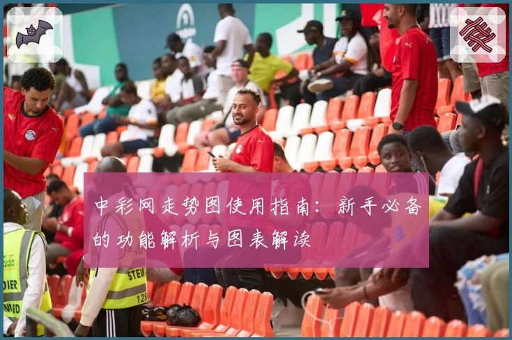 中彩网走势图使用指南：新手必备的功能解析与图表解读